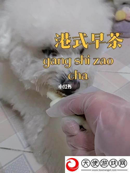 美国人与动物胶配方大全图片