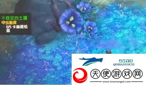 魔兽世界甲虫勘探任务怎么做