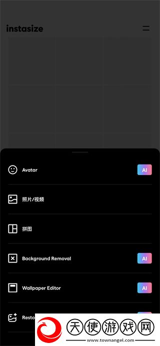 InstaSize中文版