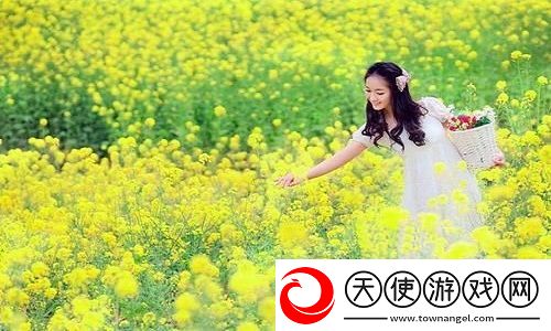欧美无人区码SUV