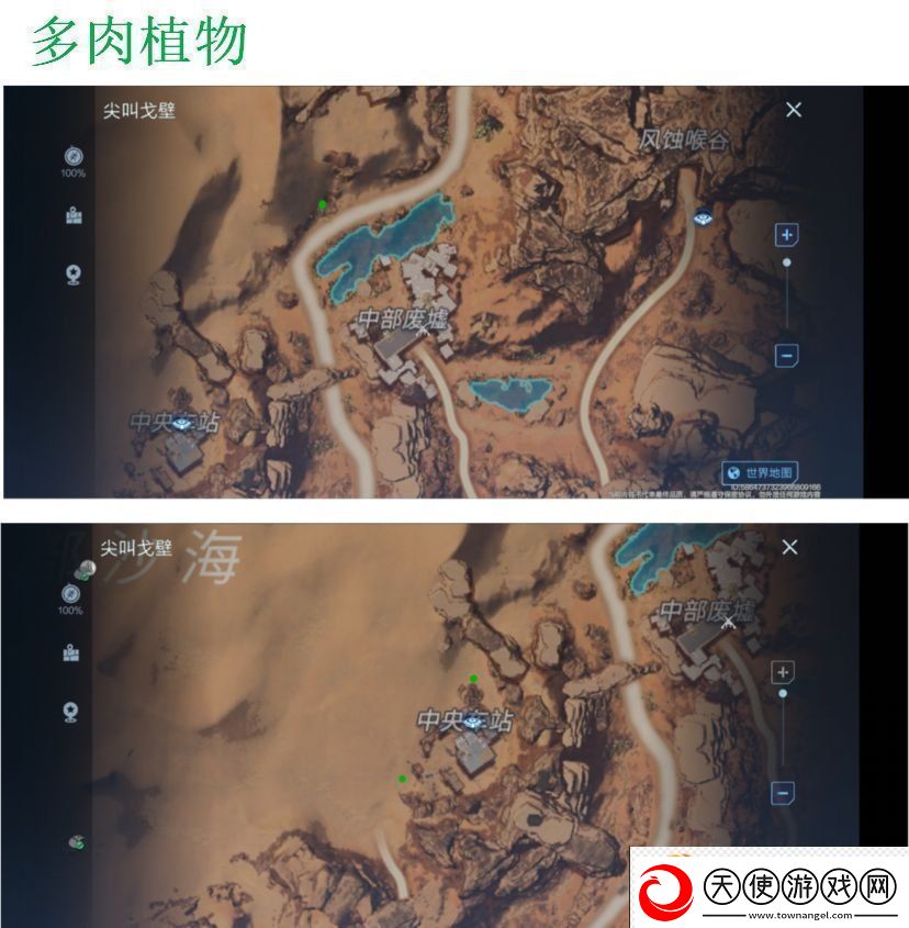 代号降临多肉在哪采集