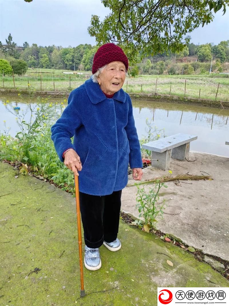 中国老太太交友现象