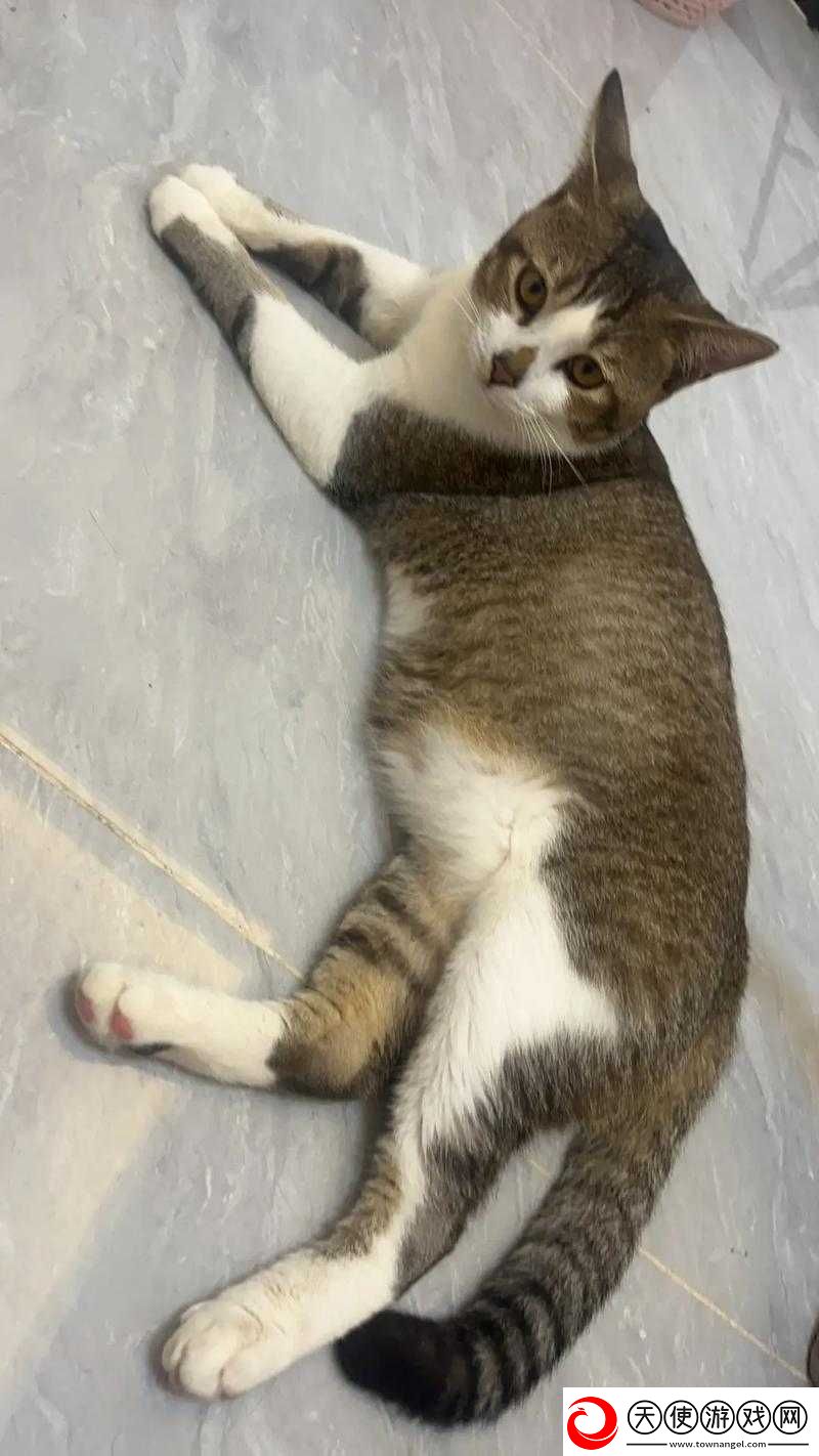 一进一出一嘚瑟前一句是啥