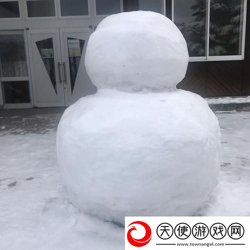 雪球秀