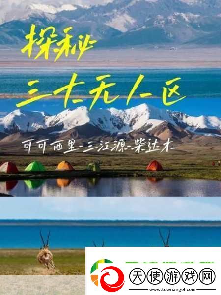 无人区码一码二码三码ww