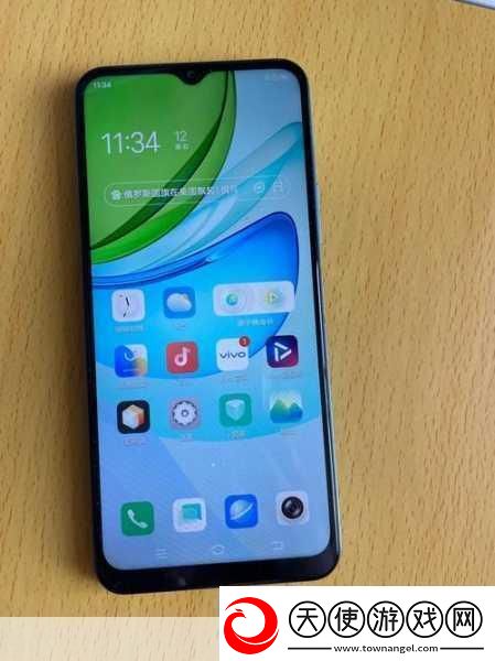 成色好的y31s标准版人民