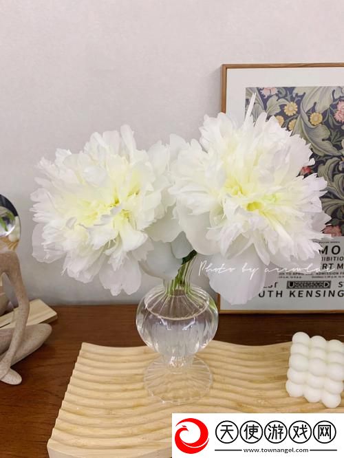 双阳插花芯