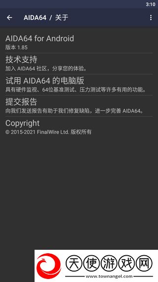 AIDA64中文版