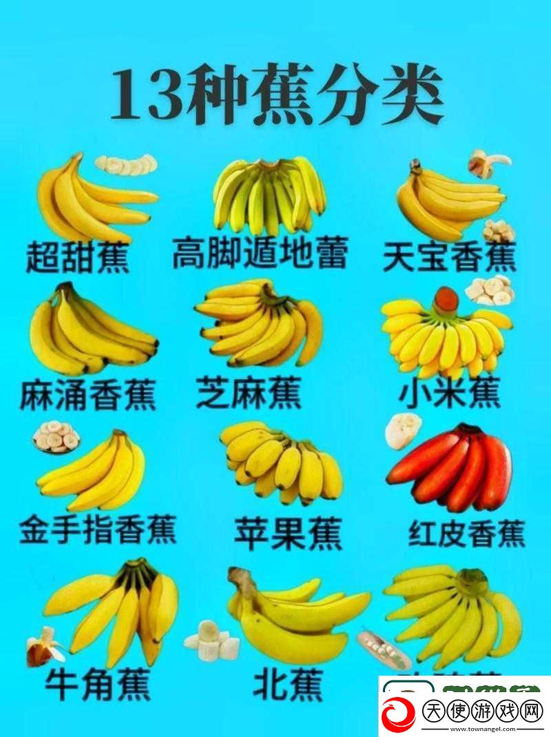 国产无人区玫瑰香蕉