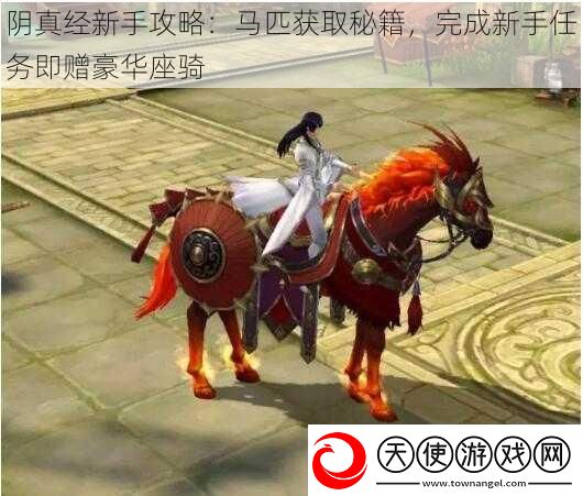 阴真经新手攻略