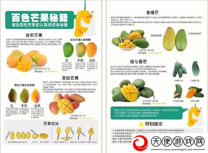 亚va芒果乱码一二三四区别