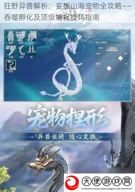 狂野异兽解析