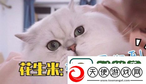 谢谢有被冒犯到是什么梗网络用语