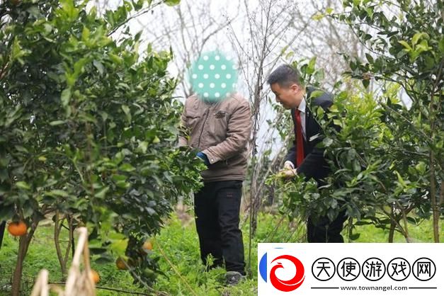 农村人乱弄一区二区的处罚方式