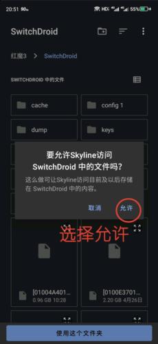 skyline安卓版