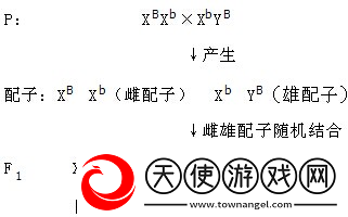 性xBxBlxBxBxB
