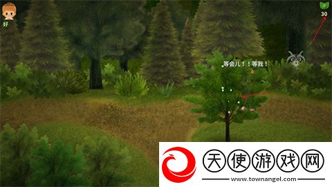 小浆果森林的故事