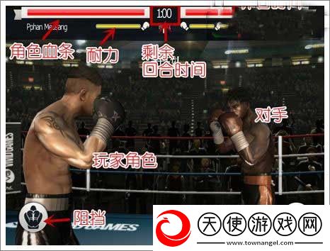 真实拳击