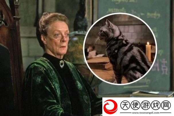 教授好会c1vNP拦路猫