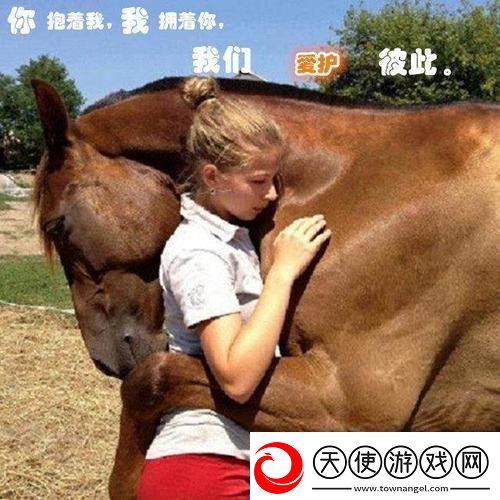 游戏界的新星