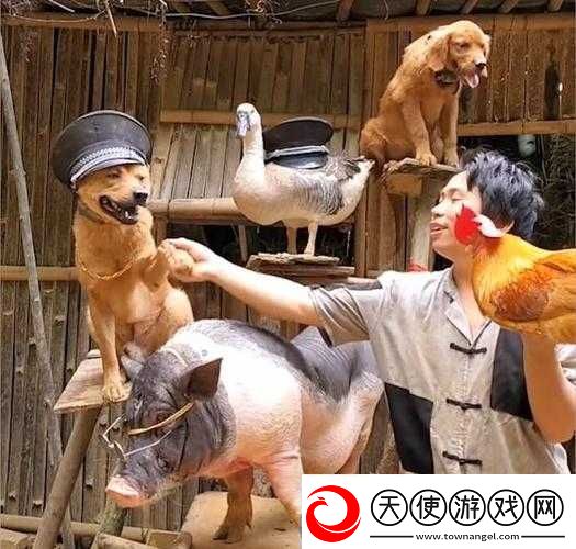 人与畜禽corporation