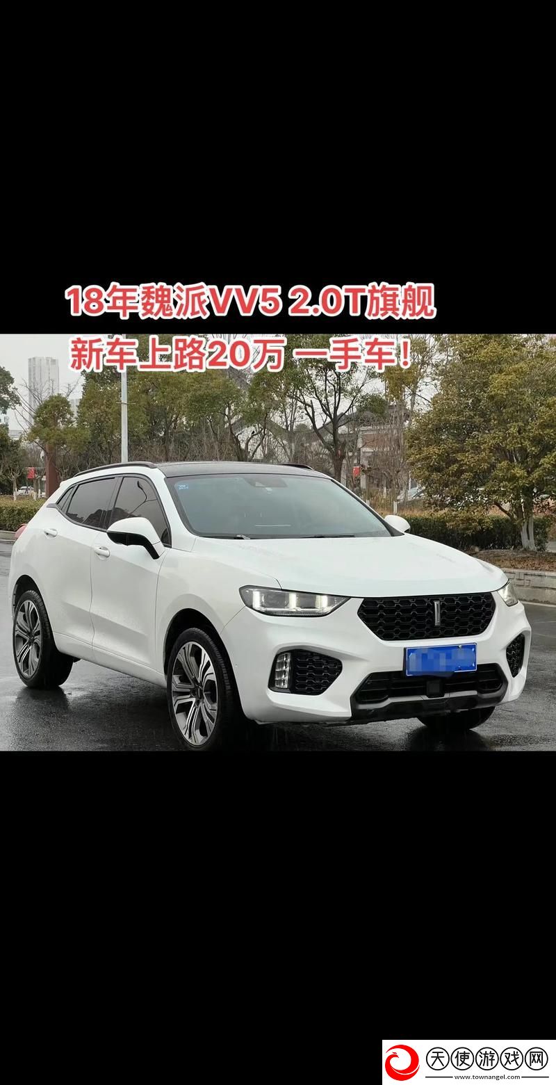 weyvv5国产SUV免费
