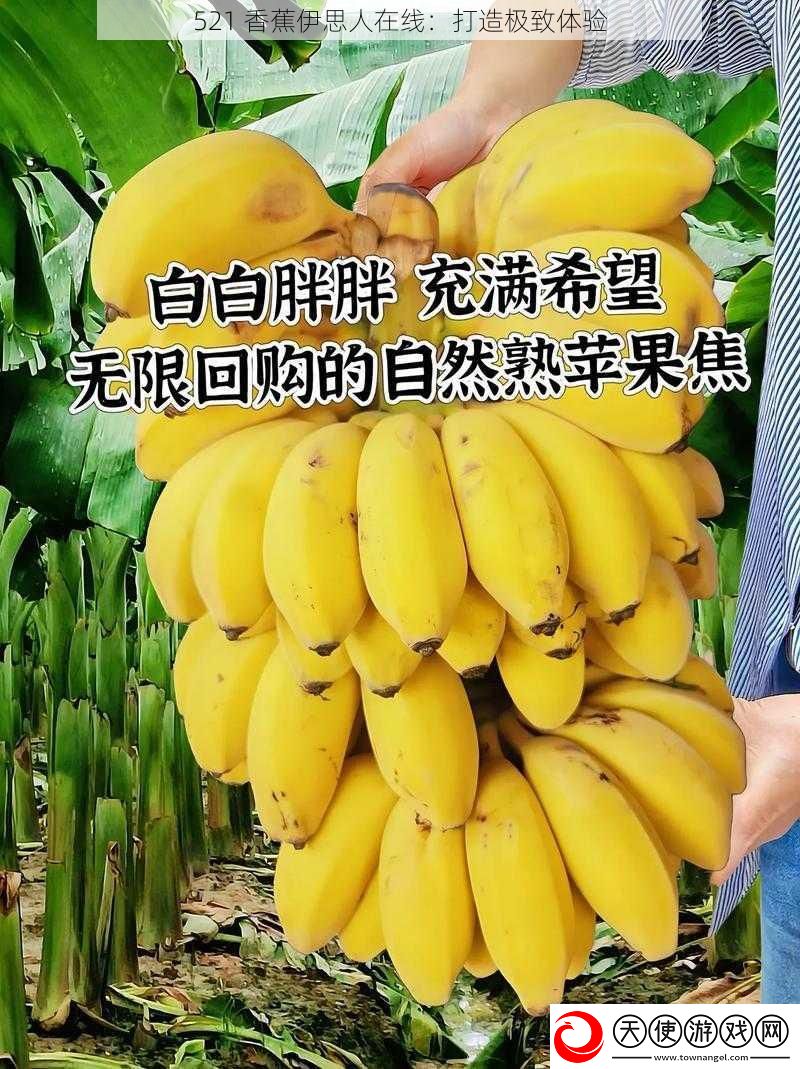 521香蕉伊思人在线