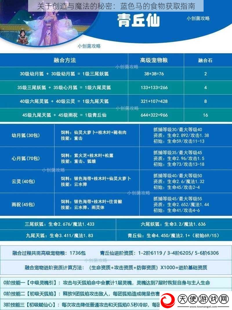 关于创造与魔法的秘密