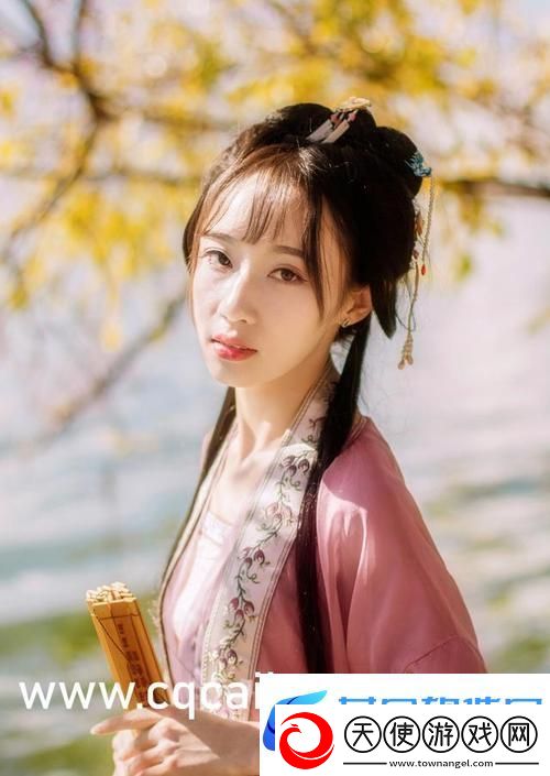 混乱小镇售票员用B检票系统
