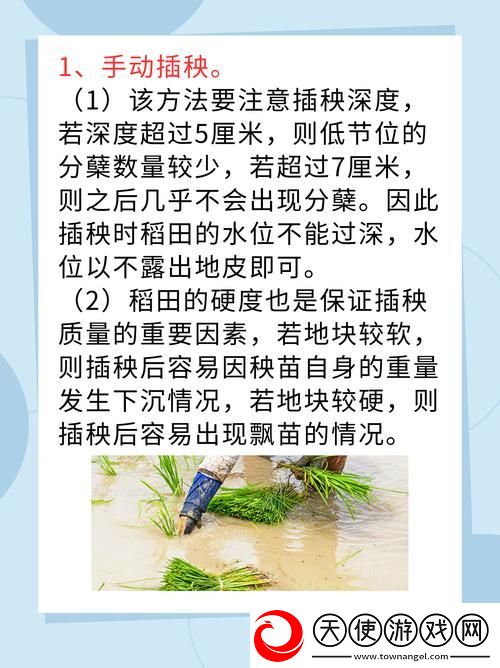 夫妻插秧38种方法大全