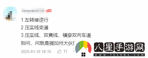 陈震测试特斯拉FSD
