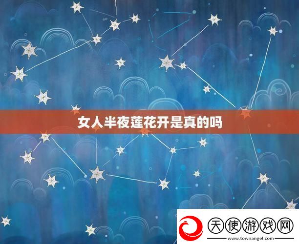 夜半莲花创新绽放