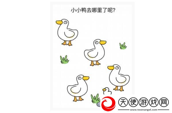 烧脑大师