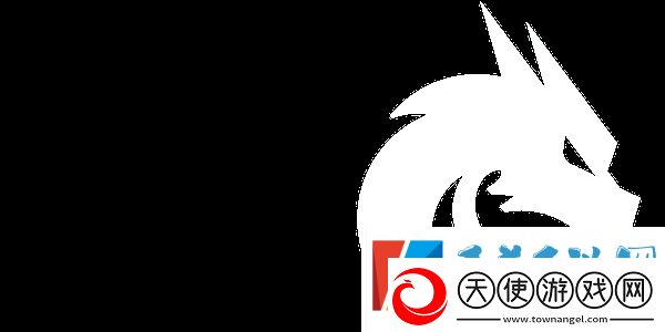 donk论2024年经历