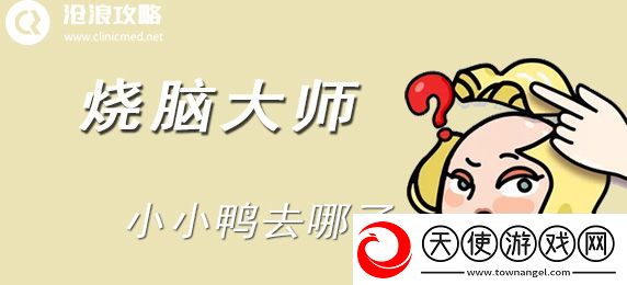 烧脑大师
