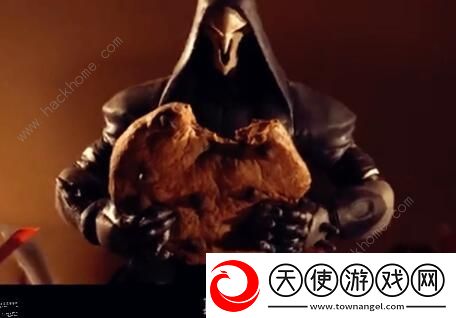 航海王燃烧意志克力架怎么样