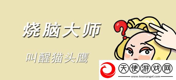 烧脑大师