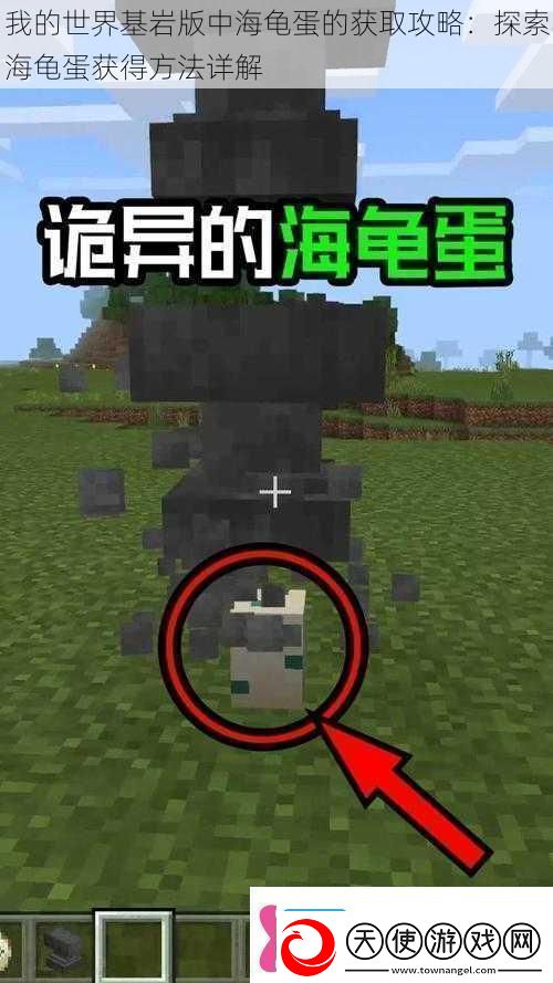 我的世界基岩版中海龟蛋的获取攻略