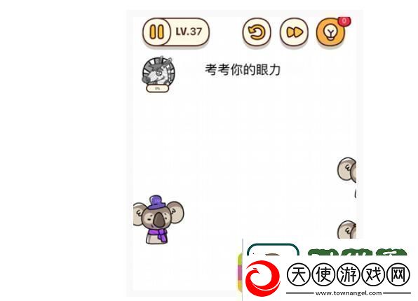 烧脑大师
