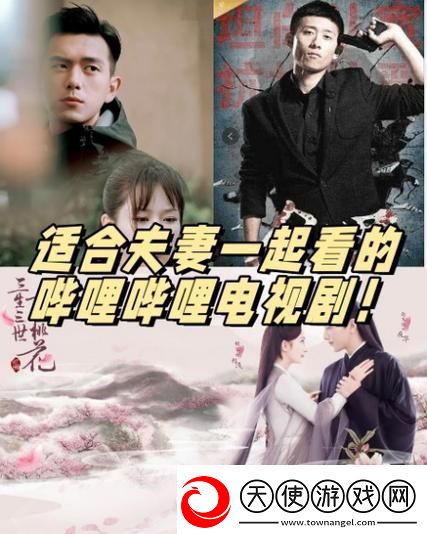 适合夫妻看的哔哩哔哩电视剧