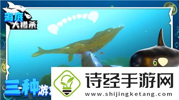 斗罗大陆魂师对决攻略平民攻略2021最新