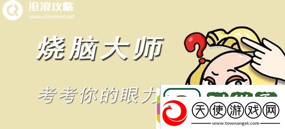 烧脑大师