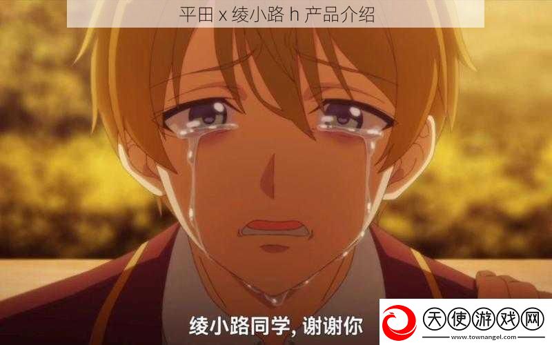 平田x绫小路h产品介绍