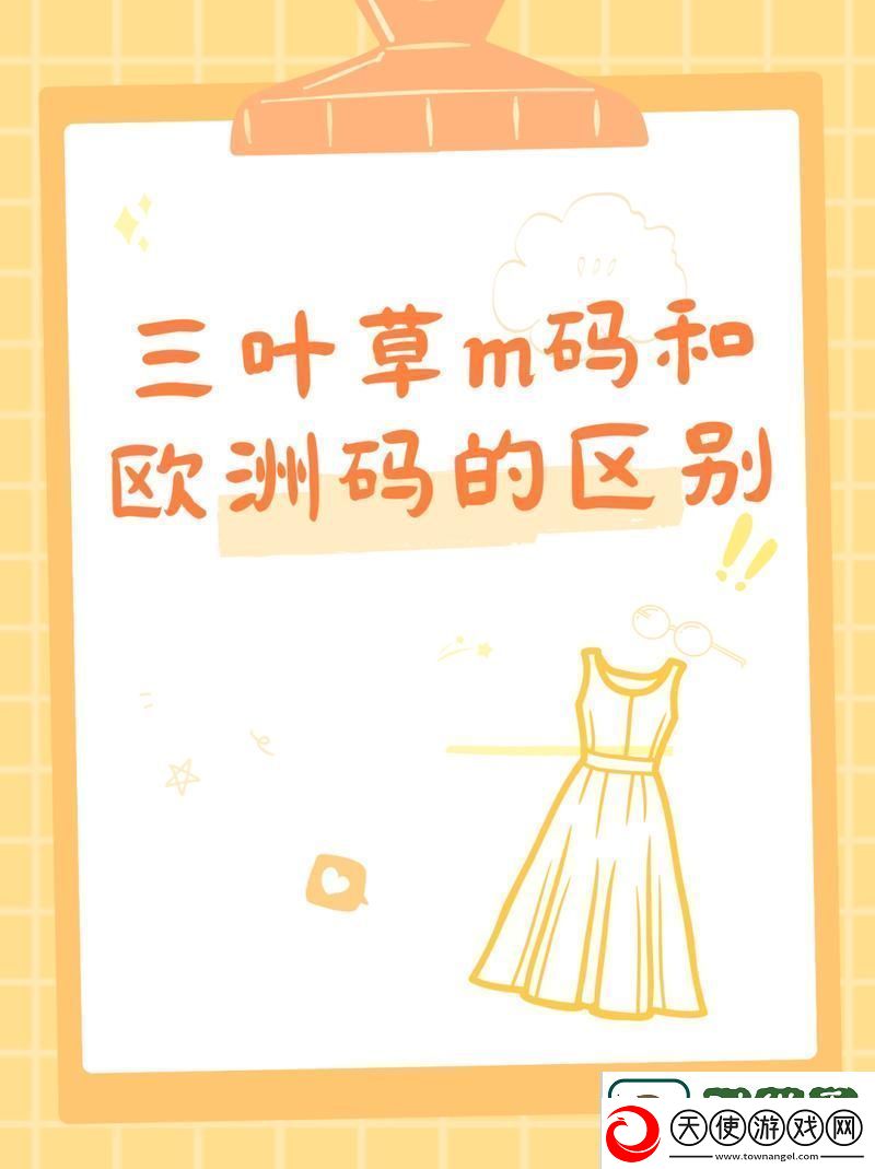 探讨三叶草M码与欧洲码的区别