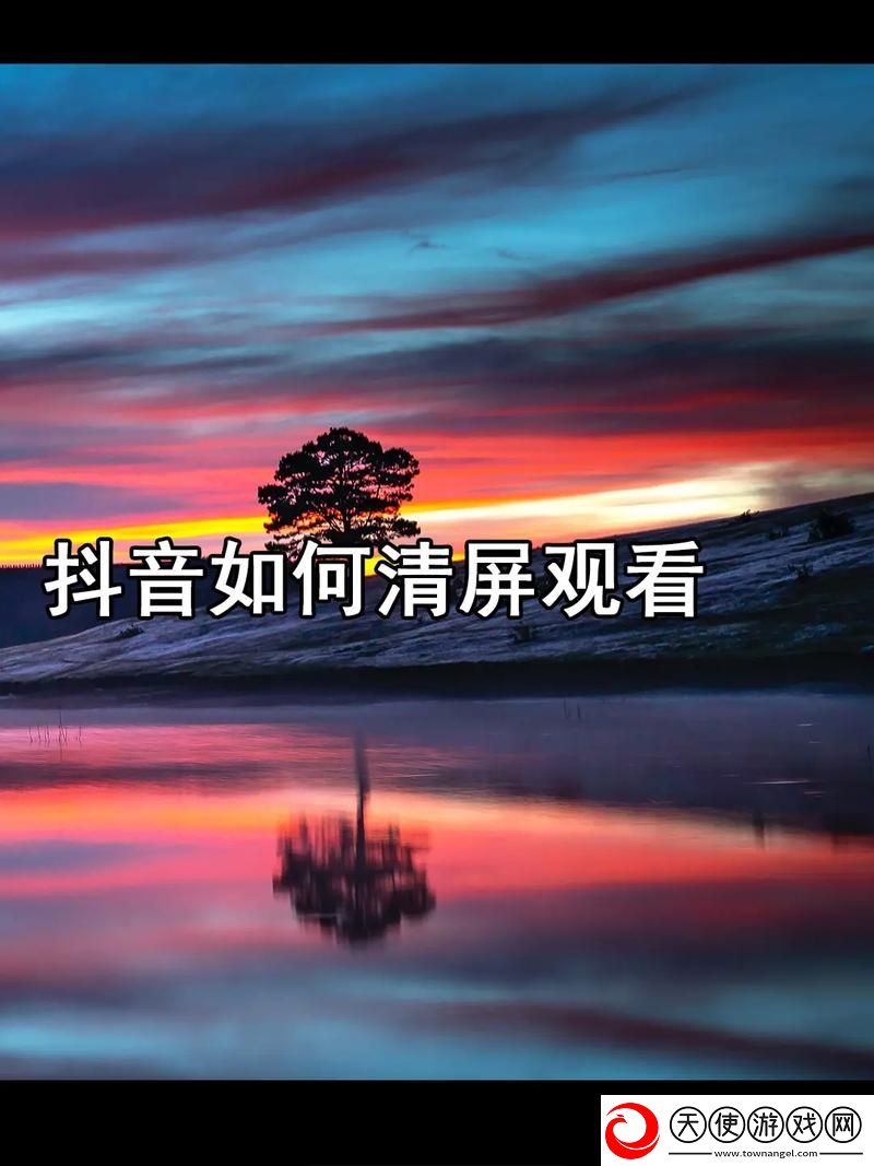 今天的视频免费播放大全