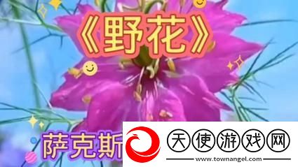 野花韩国高清完整版在线视频