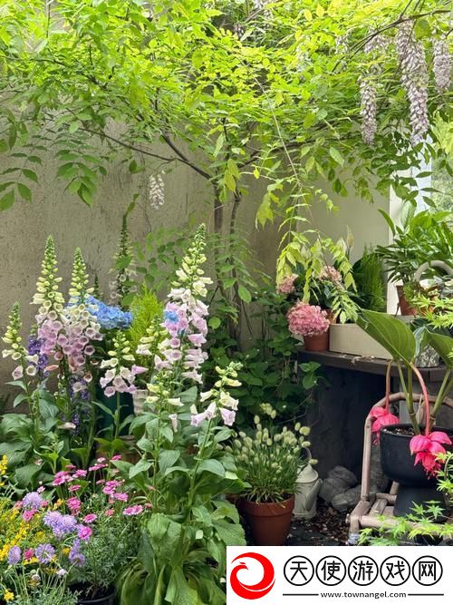 妈**后花园春天开了花