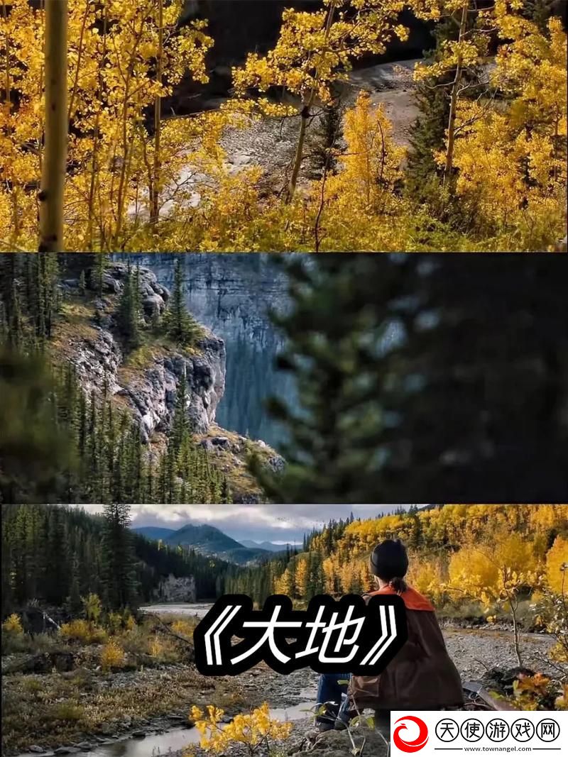 大地资源高清在线视频