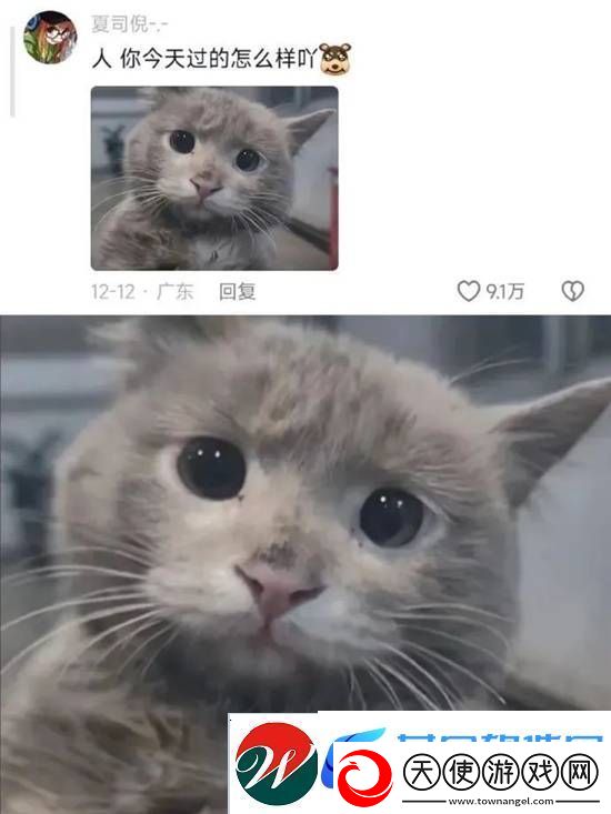 不懂小肚子的有难了