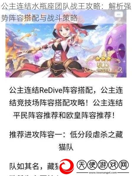 公主连结水瓶座团队战王攻略